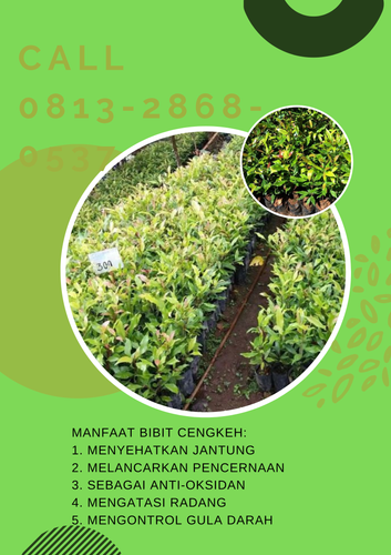 png 20230108 121248 0000.png