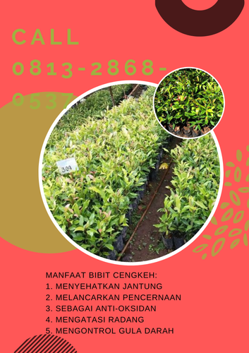 png 20230108 121313 0000.png