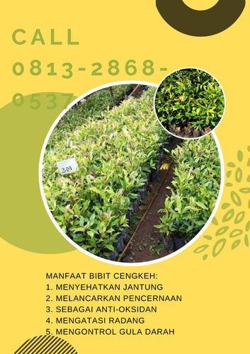 png 20230108 121330 0000.png