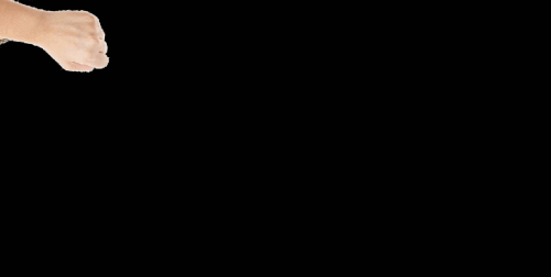 1 hckosice.gif
