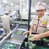 1723 CÔNG TY TNHH ĐIỆN TỬ UMC VIỆT NAM