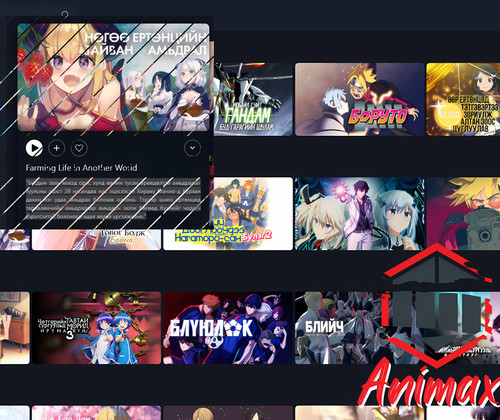Animax 4x (1).jpg