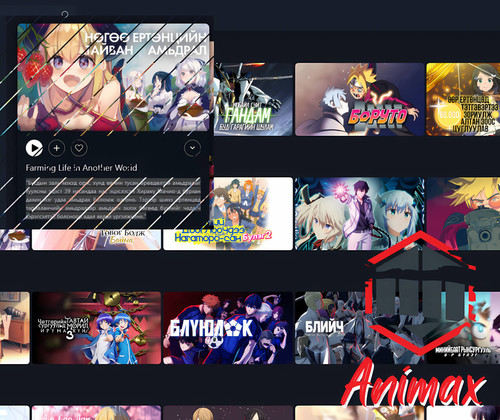 Animax (1) 4x (1).jpg