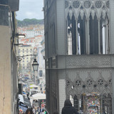 IMG 4565