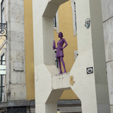 IMG 4562