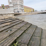 IMG 4533