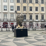 IMG 4538