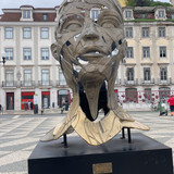 IMG 4539