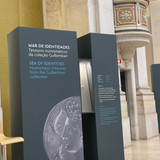 IMG 4548