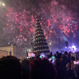 IMG 4629
