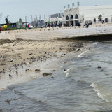 IMG 4526