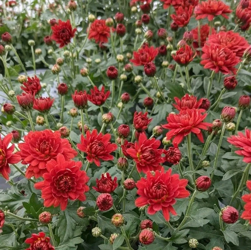 FB IMG 16731032217496706.jpg