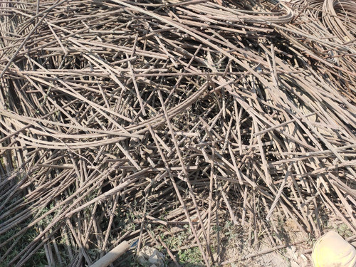 WhatsApp Image 2023 01 05 at 3.14.46 PM.jpg