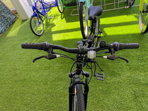 roverbike.2.jpg