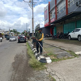Letjend MT Haryono (rumput)
