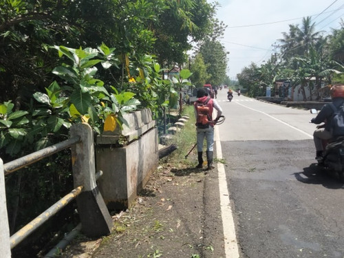 Kembangan Panican (rumput).jpg