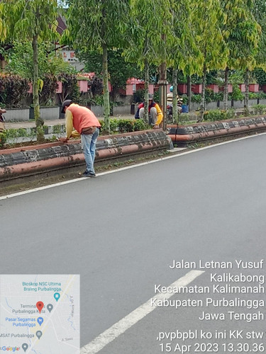 Lingkar Pasar Segamas (rumput).jpg