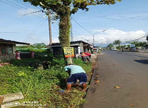 Kutasari Tobong (rumput).jpg