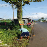 Kutasari Tobong (rumput)