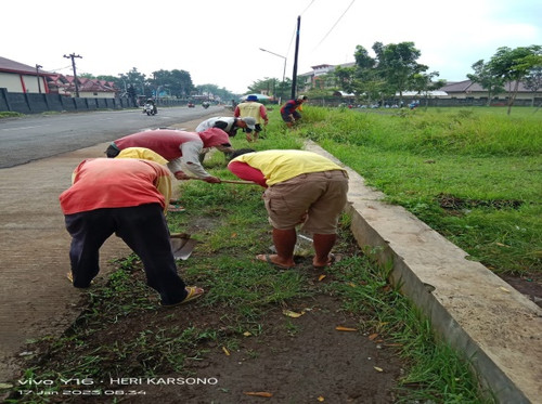 Kopral Tanwir (rumput) 1.jpg