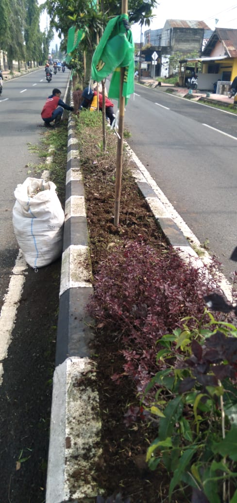 Kolonel Sugiri (rumput) 1.jpg