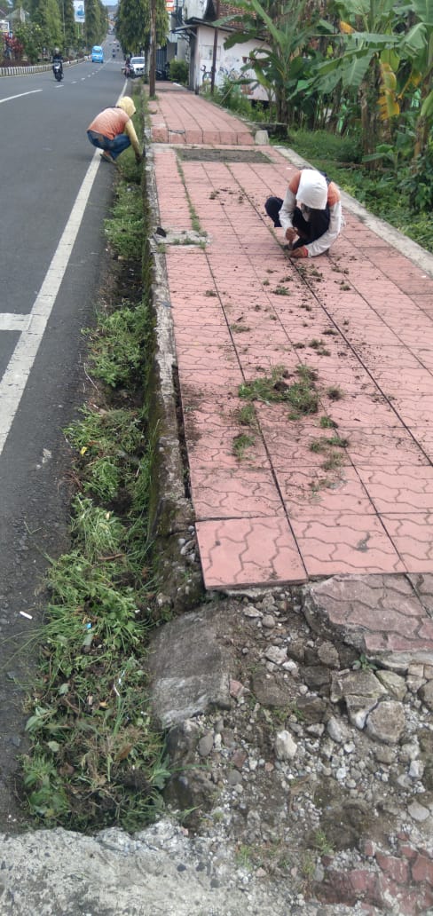 Kolonel Sugiri (rumput).jpg