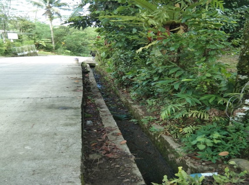 Karanganyar Karangmoncol (rumput).jpg