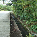 Karanganyar Karangmoncol (rumput)