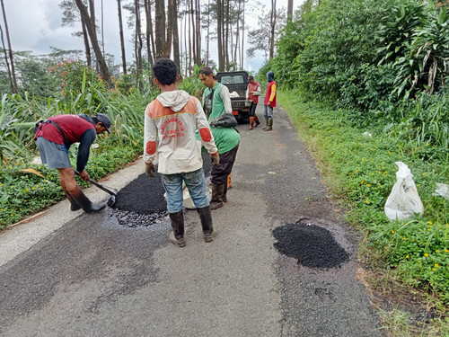 Karangjambu Jingkang (penambalan).jpg