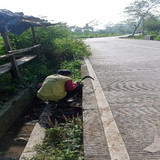 Pepedan Tegalpingen (rumput) 1