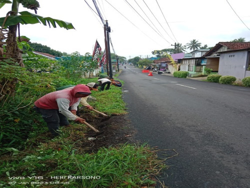 Padamara Kutasari (rumput).jpg