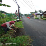 Padamara Kutasari (rumput)