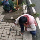 Yosomiharjo (rumput)