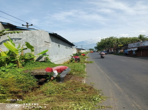 Purbalingga Kutasari (rumput) 1.jpg