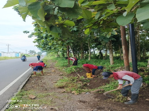 Purbalingga Kutasari (rumput).jpg