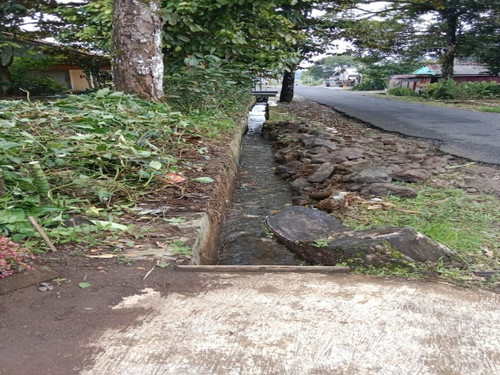 Pakuncen Tlagayasa (rumput).jpg