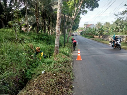 Pagembrungan Bandingan (rumput).jpg