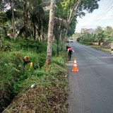Pagembrungan Bandingan (rumput)
