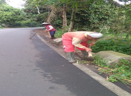 Pengadegan Tegalpingen (rumput).jpg