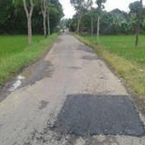 Panican Senon (penambalan)