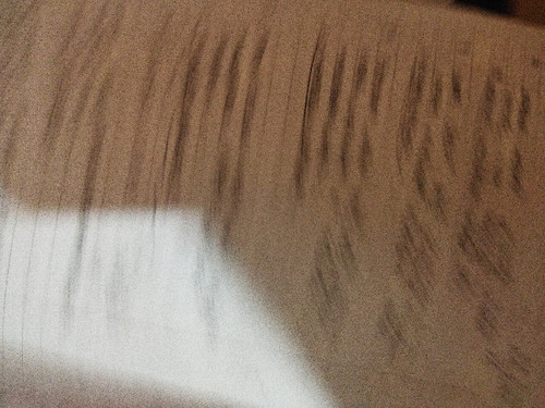 scaled bc10461f 199e 4e76 b664 5e3b918f30646996750283850098960.jpg