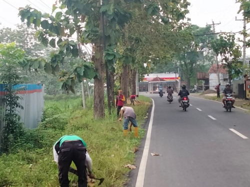 Bojong Panican (rumput) 1.jpg