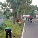 Bojong Panican (rumput) 1