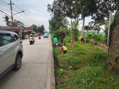 Bancar Pagembrungan (rumput).jpg