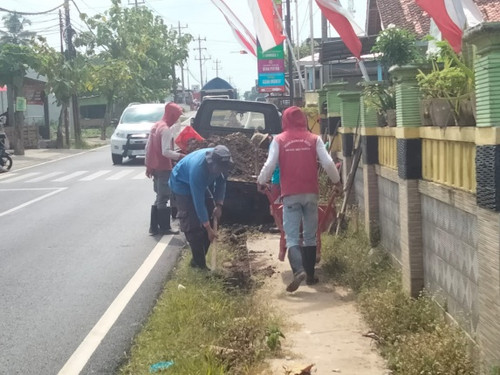 Bojong Panican (rumput).jpg