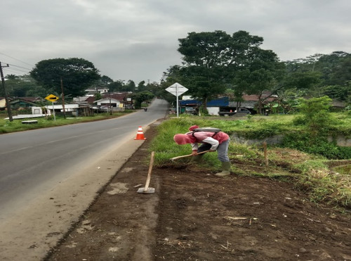 Bobotsari Karanganyar (rumput) 1.jpg