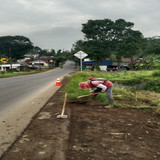 Bobotsari Karanganyar (rumput) 1