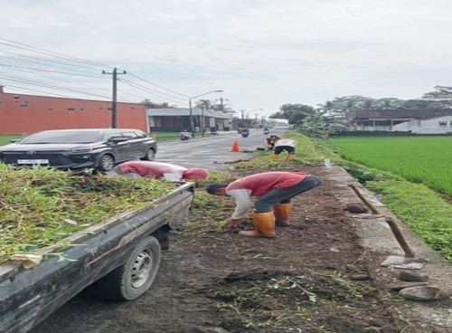 Bobotsari Karanganyar (rumput).jpg