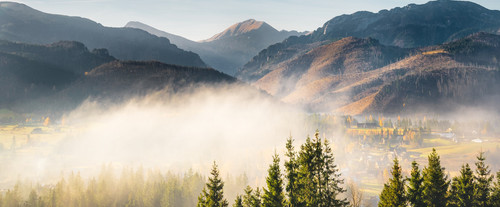 contact misty landscape.jpg