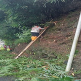 Bobotsari Karanganyar (Rumput)